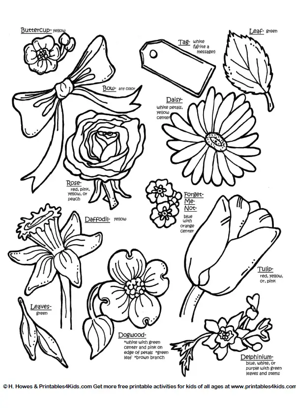 Botanical flowers with names : Printables for Kids – free word search 