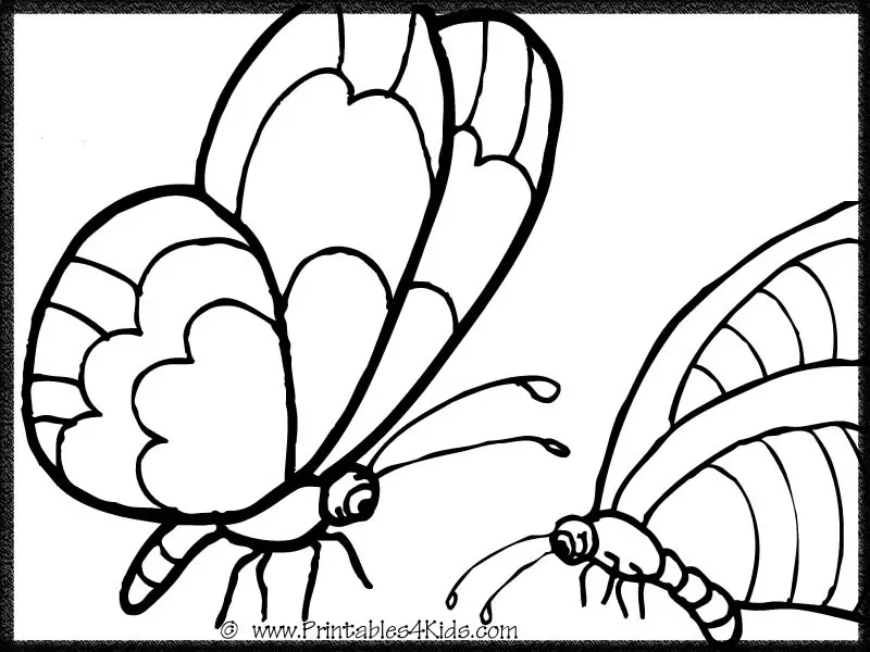 butterfly coloring page 5 printables for kids free word search